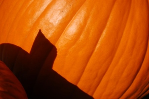 pumpkin shadows